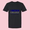 Unisex Softstyle® T-Shirt Thumbnail