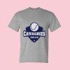 Unisex DryBlend® T-Shirt Thumbnail